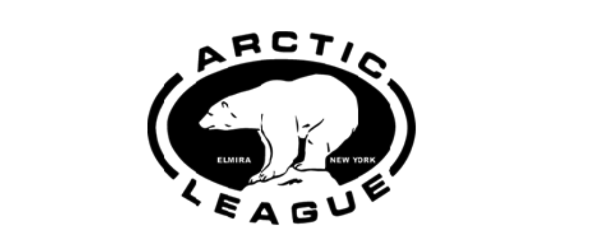 Delivering Christmas With The Arctic League