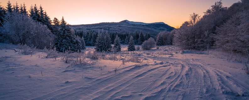 Filling Winter Days