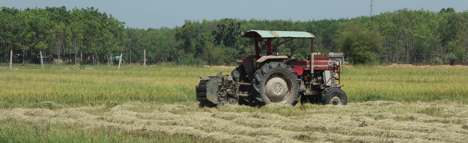 Governor Hochul About To Uproot The Future For Many Farmers