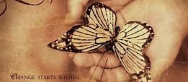Changes Without and Within