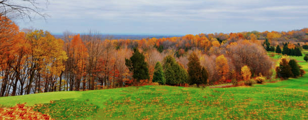 Dancing Into Fall!
