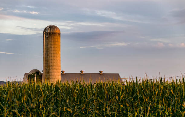 A Season To Remember The Importance Of Farming