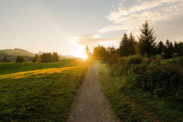 Confessions Of A Morning Person