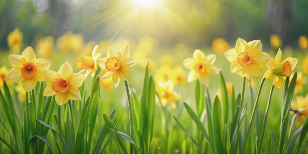 Perfection? No! Wholeness? YES!